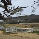 송산목장 이미지