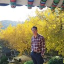 함안향교 이미지