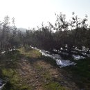 큰길부동산중개사무소 이미지