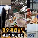 뷰델카라반펜션 | 경주벚꽃애견동반 뷰델카라반펜션 내돈내산 추천