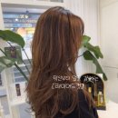 헤어;이유 네이버블로그