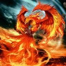 백호PC방 이미지