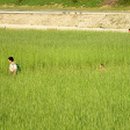 (주)삼중나비스 - 1143 | (주)삼중나비스