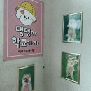 펫클럽 오산점 이미지