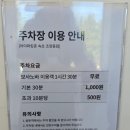 ☕🐶 속초 해변 카페 보사노바 커피로스터스 후기 | 내돈내산