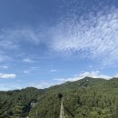 위천수승대 | [경남거창/여행기] 수승대출렁다리/별바람언덕 혼행 간단후기