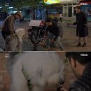 히릿