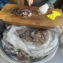 천우사약국 이미지