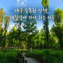 해질녘민박 | 대구수목원 산책 후기｜해질녘에 더 예쁜 이유 (대구 달서구 가볼만한곳)