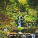 곰배령가든 이미지