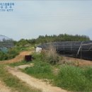 마산초등학교용전분교장 이미지