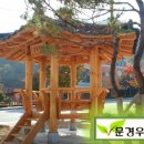 정자 이미지