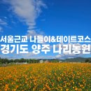 [경기도/양주]서울근교 데이트코스로 가볼만 한 곳 양주 나리농원 방문후기(위치/주차/요금/천일홍 축제)