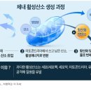 산소로