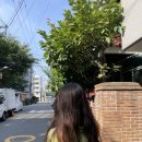 (주)퍼니랜드 이미지