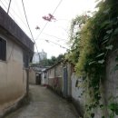 골목길 - 구미시 백산로2길 10 | 골목길