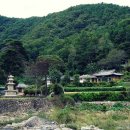 합천-북부-북부 비-01 | [합천] 월광사지 동·서 삼층석탑