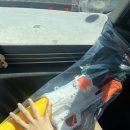 세렌의정원 | [밀양여행] 뜨그븐 여름 부부동반 여름휴가를 떠나요