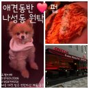 세종MVG | 세종시 나성동 퓨전술집 원탁 애견동반 후기