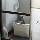[1st week of October, 2024] 한남동 24시 감자탕 본점 | 상암 하늘공원 산책 맛집 | 광명 이케아 잠실...