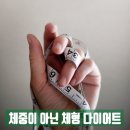 챔피언점핑다이어트 네이버블로그
