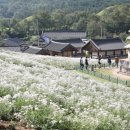 서악큰마을 이미지