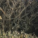 자연한우 | 화성 소고기 하면 여기, 소고기 맛집 자연한우 재방문 내돈내산 솔직 후기