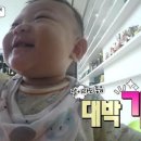차사랑모터스 이미지