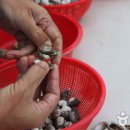 벌교천변길1 이미지