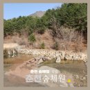서울 근교 숲체험 국립춘천숲체원 아기와 방문한 후기