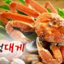 속초언니
