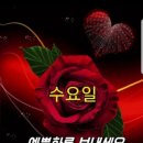 세라비