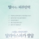 달달리아 이미지