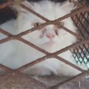 김성일농장 이미지