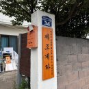 [제주/서귀포시] 제주도 조용한 게스트하우스 산방산점