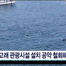 [JIBS뉴스] "돌고래 관광시설 설치 공약 철회해야" 이미지
