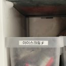유치원 이름표 네임스티커 엡손 라벨프린터 내돈내산 후기