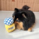 펫마망 | 강아지노즈워크 장난감 추천 딩독 독마망 애견 장난감