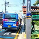 오후의 산책-갑천금강합류점 이미지