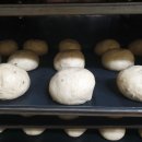 현씨농장 이미지