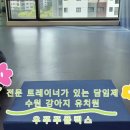 우쭈쭈플렉스 강아지 유치원 호텔 네이버블로그