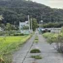 영남대학교영천병원 이미지