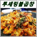 투셰링 네이버블로그