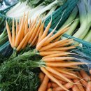 사랑이꽃피는작은도서관 | 베란다 가드닝 (겨울에 피는 꽃)