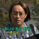 체리치즈