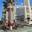 무지개옷사랑세탁소 | 제주공항근처펜션 가성비 좋은 숙소 감성 채운 사랑터울펜션 201호 후기