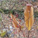 만인산 만인사 이미지