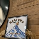 270-2529 | 오사카 난바 돼지 목살 스테이크 맛집 ‘Mallory Pork Steak 난바 시티점’ 리뷰