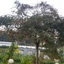 오리고을 이미지