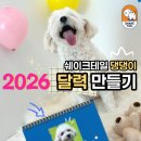 쉐이크테일 강아지 애견 유치원 호텔 미용 | [ 평택애견유치원/ 쉐이크테일 ] 2026 달력 만들어요!